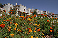 Outdoor Resort Lefkoritis