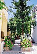 Aparthotel Athina, Bild 0