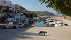 Region: Kreta Nordwesten - Ort: Kolimbari