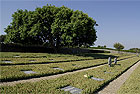 Region: Kreta Nordwesten - Ort: Maleme