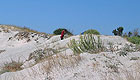 Kreta Westk&uuml;ste, Ort: Elafonissi