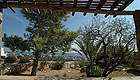 Region: Kreta S�dk�ste - Ort: Koutsounari
