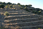 Region: Kythira  - Ort: Kythira