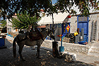 Region: Peloponnes  - Ort: Hydra