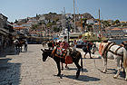 Region: Peloponnes  - Ort: Hydra