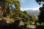 Region: Peloponnes  - Ort: Kalamata