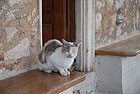Region: Peloponnes  - Ort: Mystra