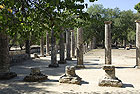 Region: Peloponnes  - Ort: Olympia