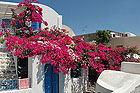 Region: Santorin  - Ort: Santorin