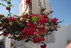 Region: Santorin  - Ort: Santorin