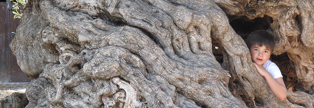 West Crete West Crete
