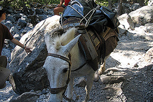 Kreta Nordwesten, Bild 0