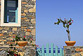 Ost Kreta Villas Mochlos Agios Nikolaos, Bild 5