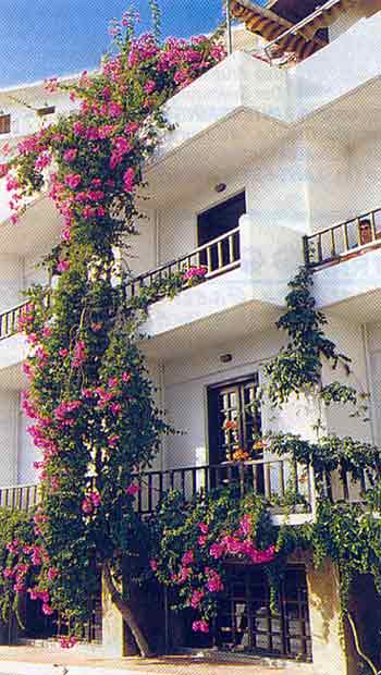 Hotel Stella, Bild 0