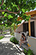 Kreta Südküste Frangokastello Seaside Cottages, Bild 19