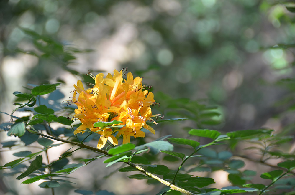 Botanischer Garten und Naturpark bei Chania