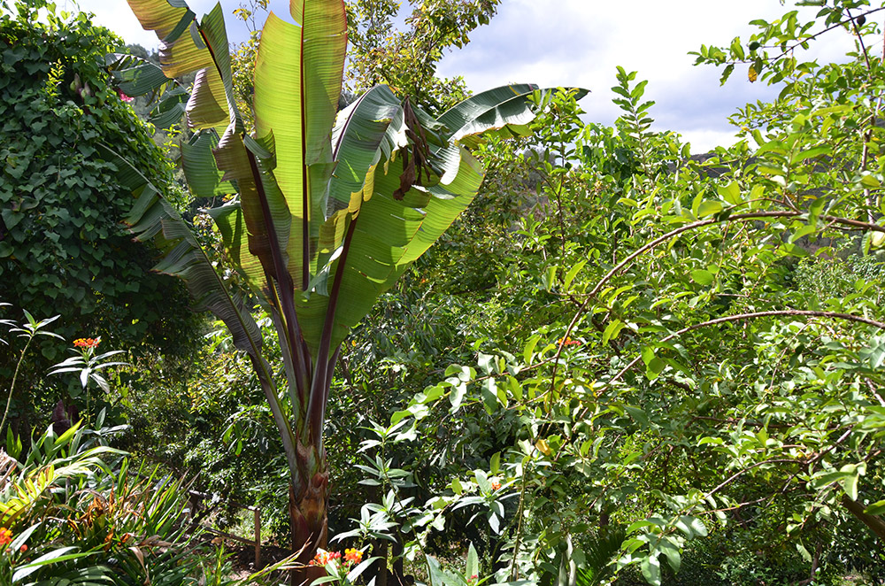Botanischer Garten und Naturpark bei Chania