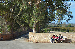 Kloster Agia Triada, Bild 12