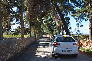 Kloster Agia Triada, Bild 5